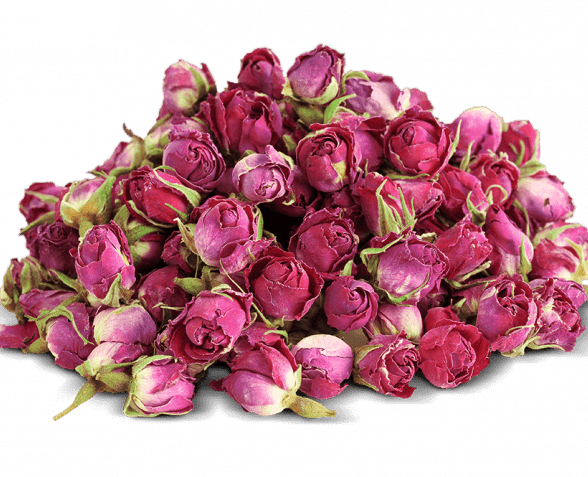 Rose Bud, Gol Mohammadi Rose Petals
