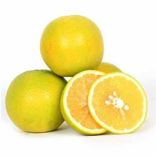 Sweet Lemon/lbs  لیموشیرین   limoo shirin