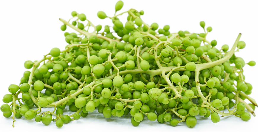 Ghooreh. Ghureh, Ghoreh, Sour Grapes, Fresh Sour Grapes,